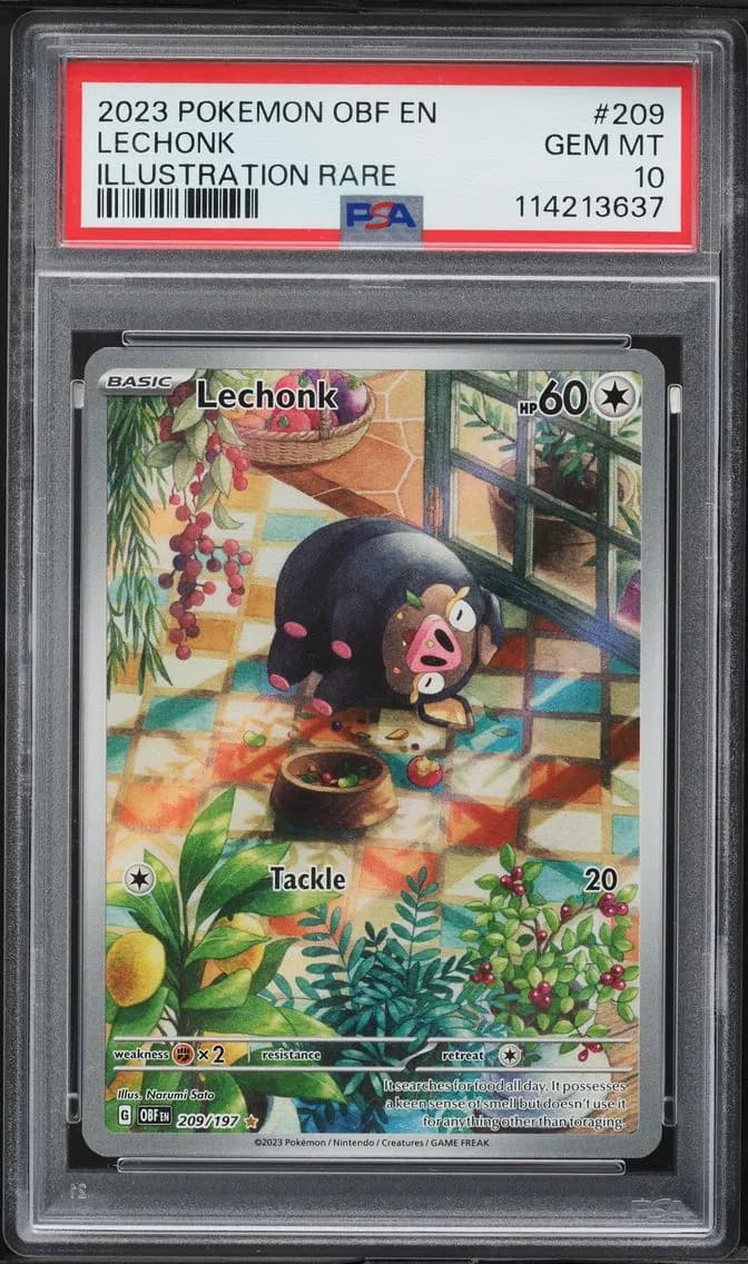 Lechonk, Obsidian Flames, PSA 10