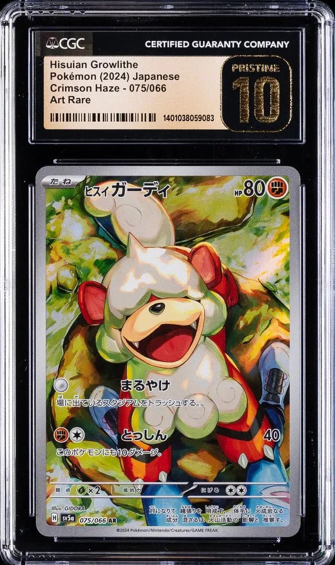 Hisuian Growlithe, Pristine Crimson Haze - sv5a - Japanese, CGC 10