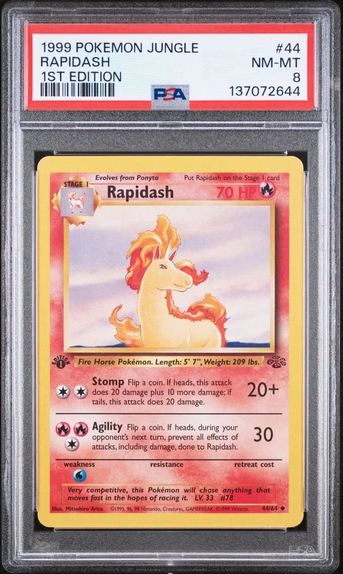 Rapidash 1st Edition, Jungle, PSA 8