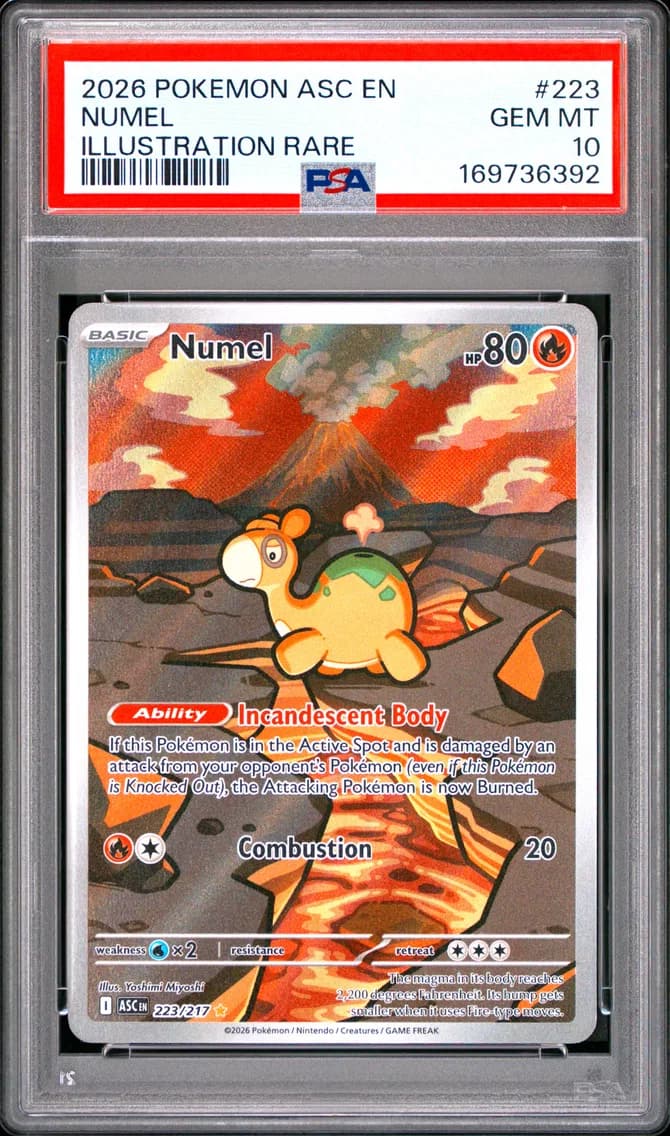 Numel, Ascended Heroes, PSA 10