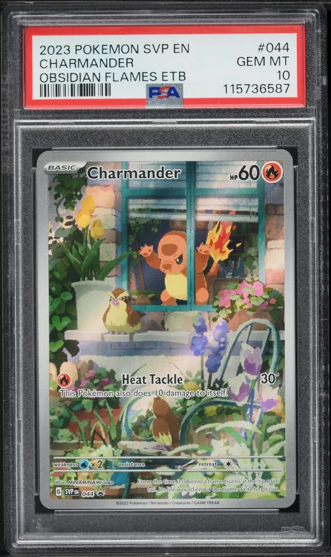 Charmander, SV Black Star Promo, PSA 10
