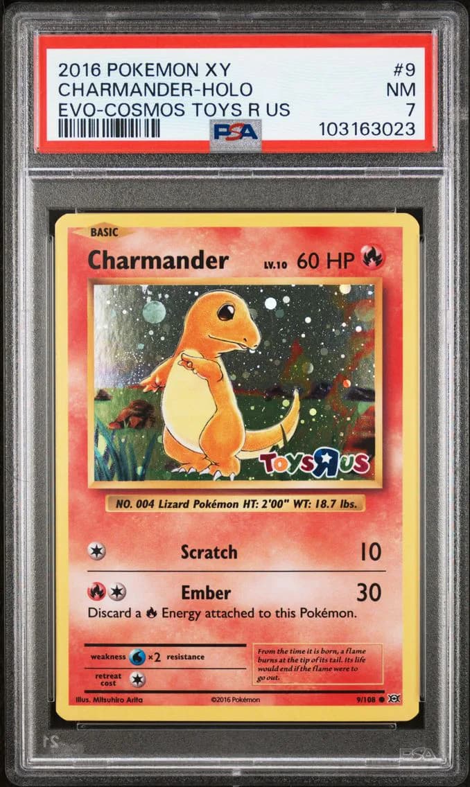 Charmander-Holo, XY Evolutions, PSA 7