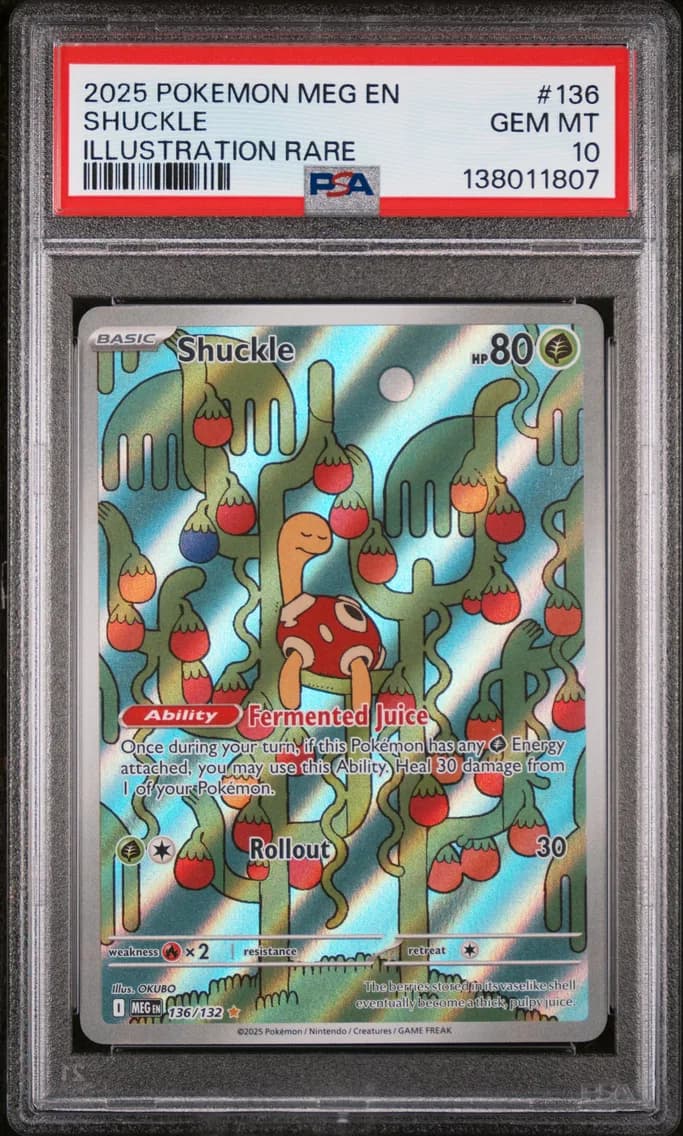 Shuckle, Mega Evolution, PSA 10