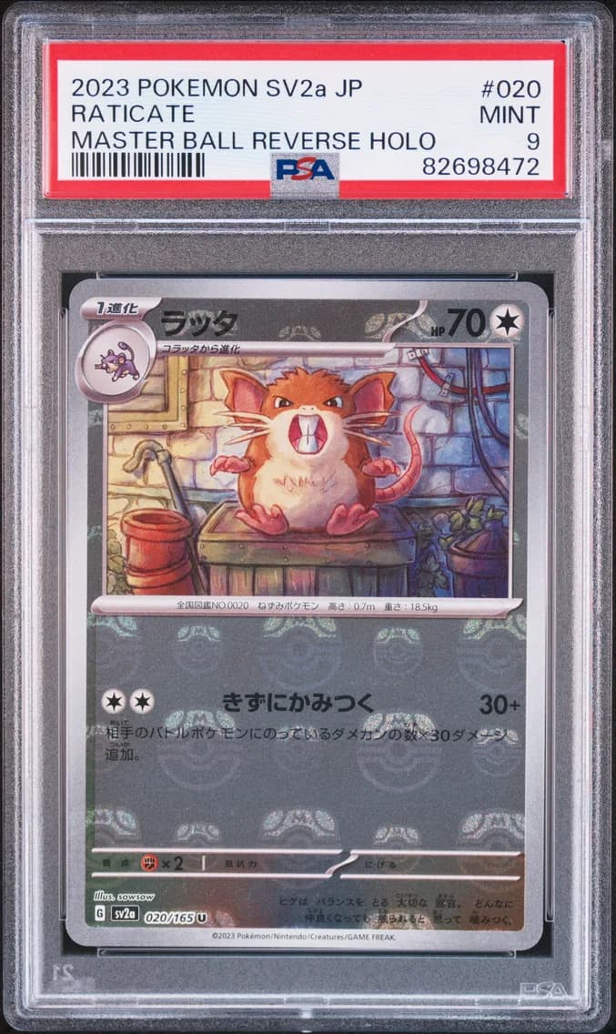 Raticate Master Ball Reverse Holo, Japanese Sv2a-Pokemon Card 151, PSA 9