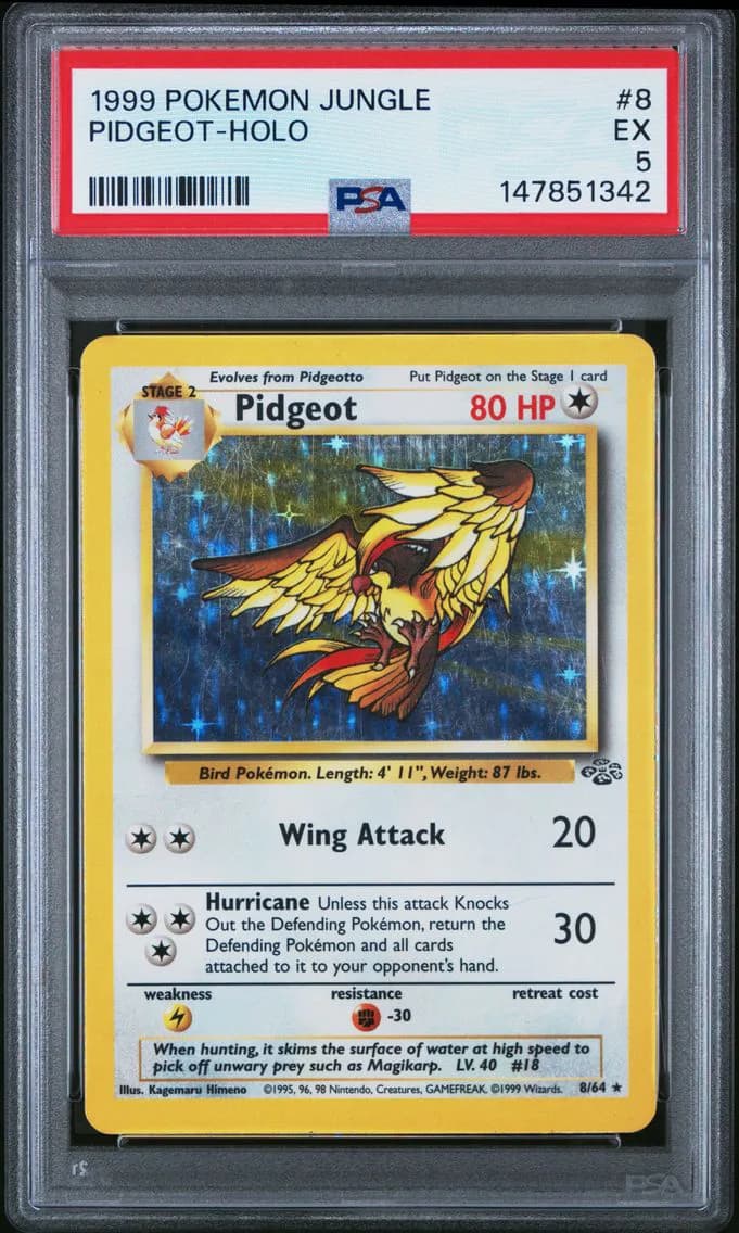 Pidgeot-Holo, Jungle, PSA 5