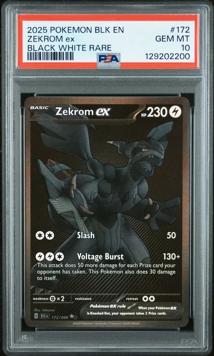 Zekrom EX, Black Bolt, PSA 10