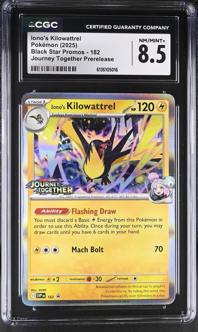 Iono's Kilowattrel, Black Star Promos - Scarlet & Violet SVP EN, CGC 8.5