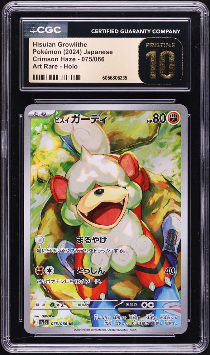 Hisuian Growlithe, Crimson Haze - sv5a - Japanese, CGC 10