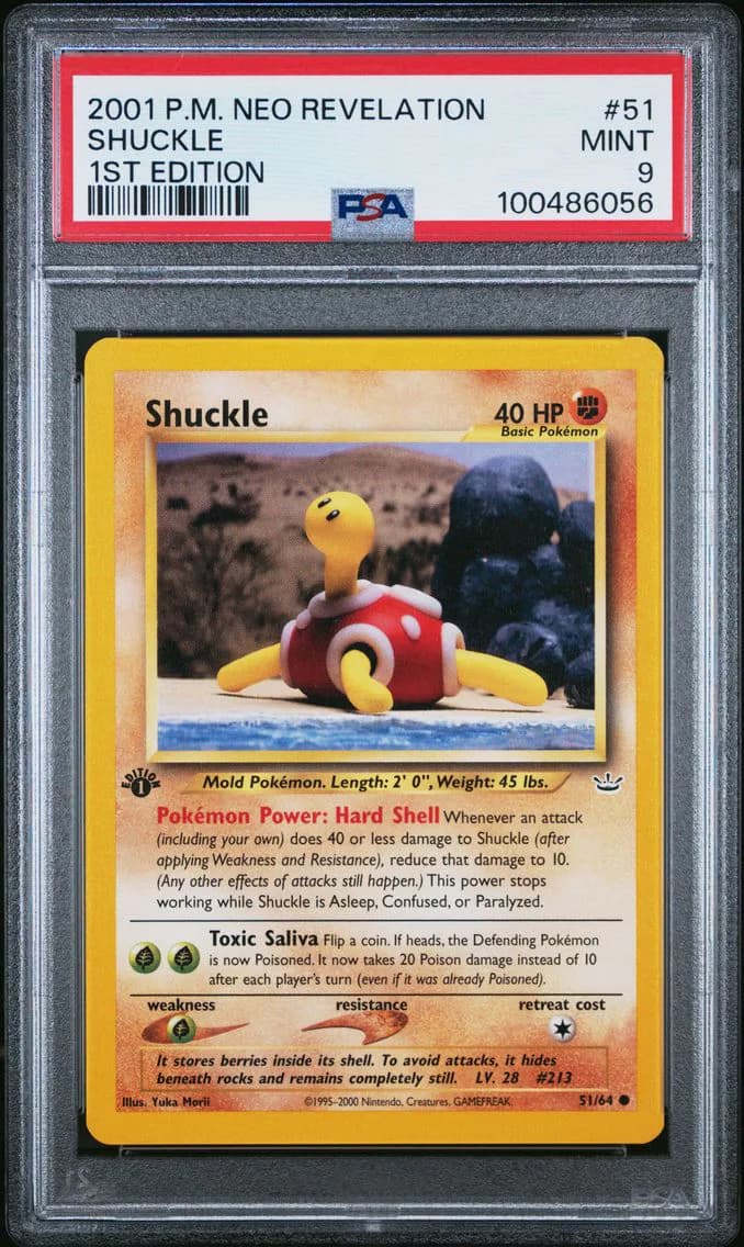 Shuckle 1st Edition, Neo Revelation, PSA 9
