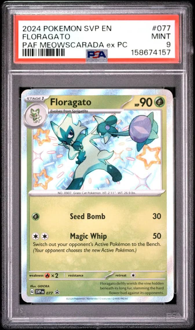 Floragato, SV Black Star Promo, PSA 9