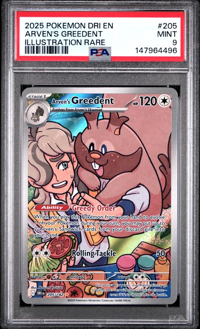 Arven's Greedent, Destined Rivals, PSA 9