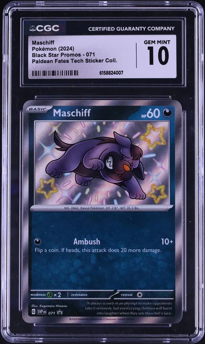 Shiny Maschiff, Black Star Promos - Scarlet & Violet SVP EN, CGC 10