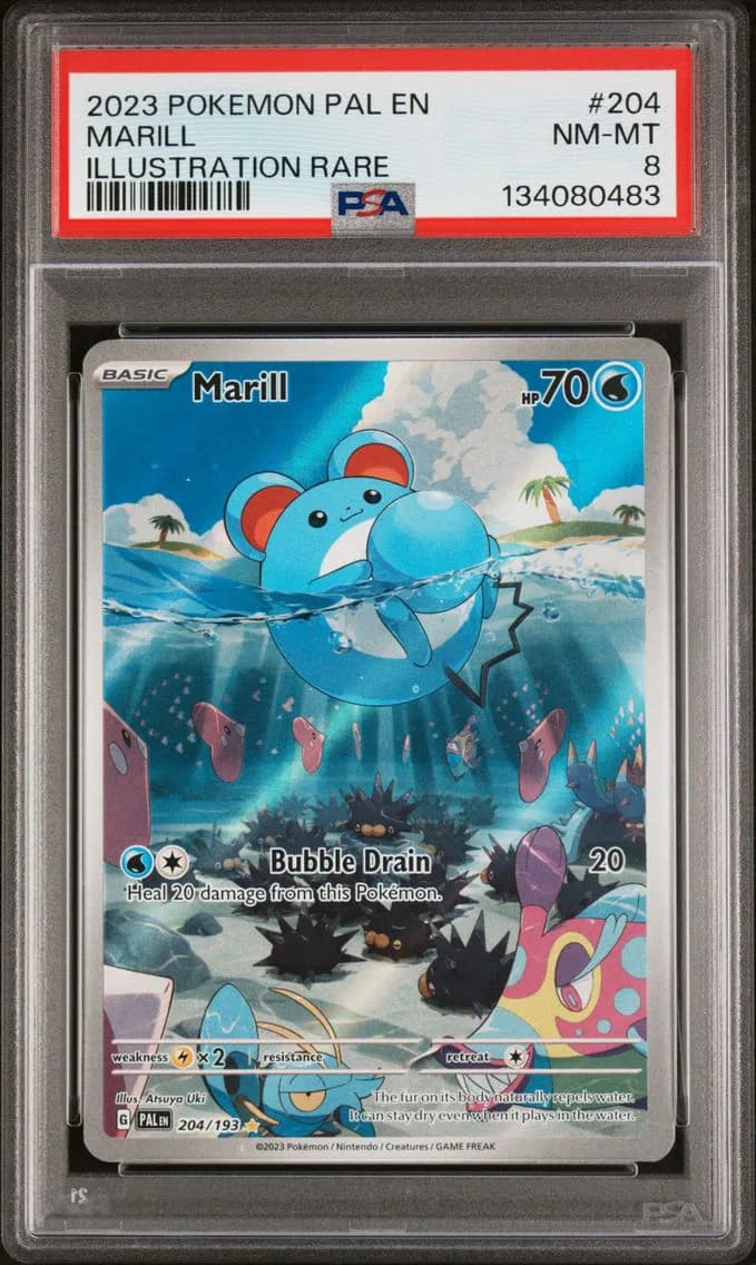 Marill, Paldea Evolved, PSA 8
