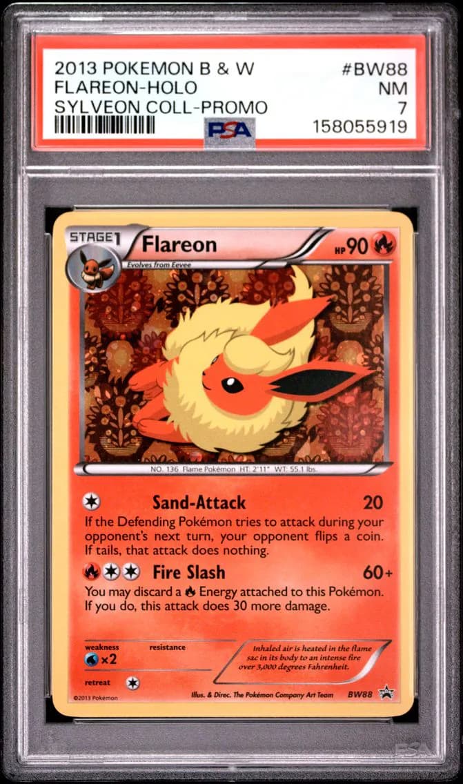 Flareon-Holo, Black & White Promo, PSA 7