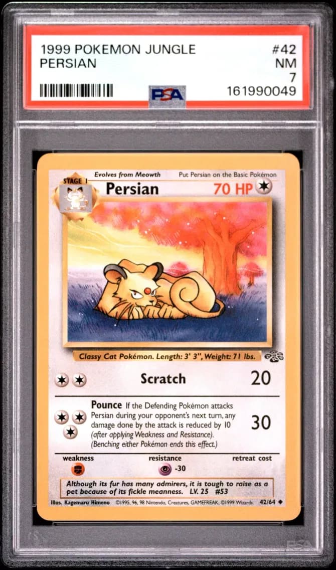 Persian, Jungle, PSA 7