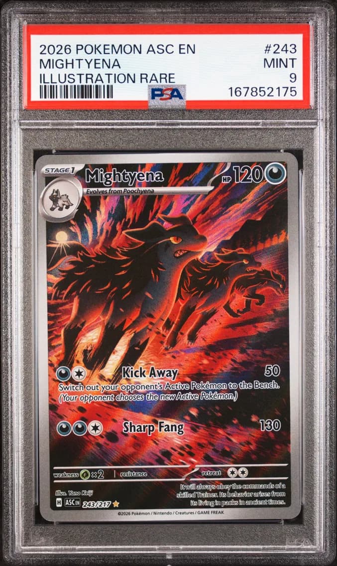 Mightyena, Ascended Heroes, PSA 9