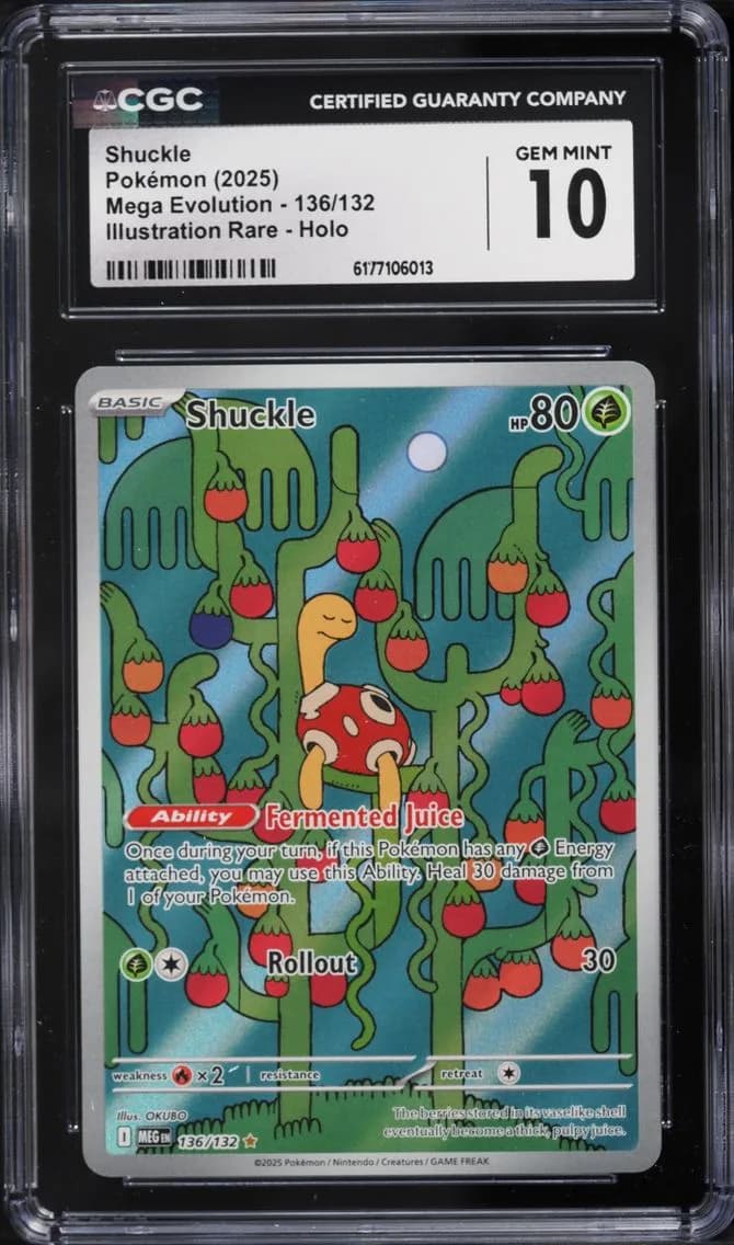 Shuckle, Mega Evolution, CGC 10