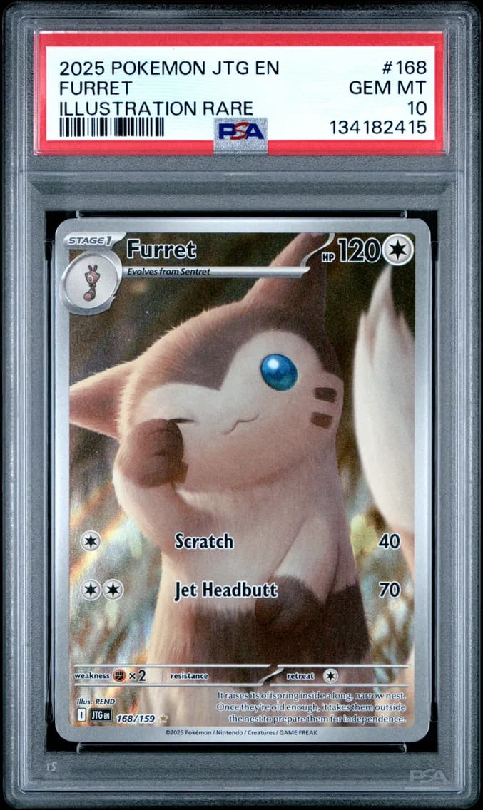 Furret, Journey Together, PSA 10