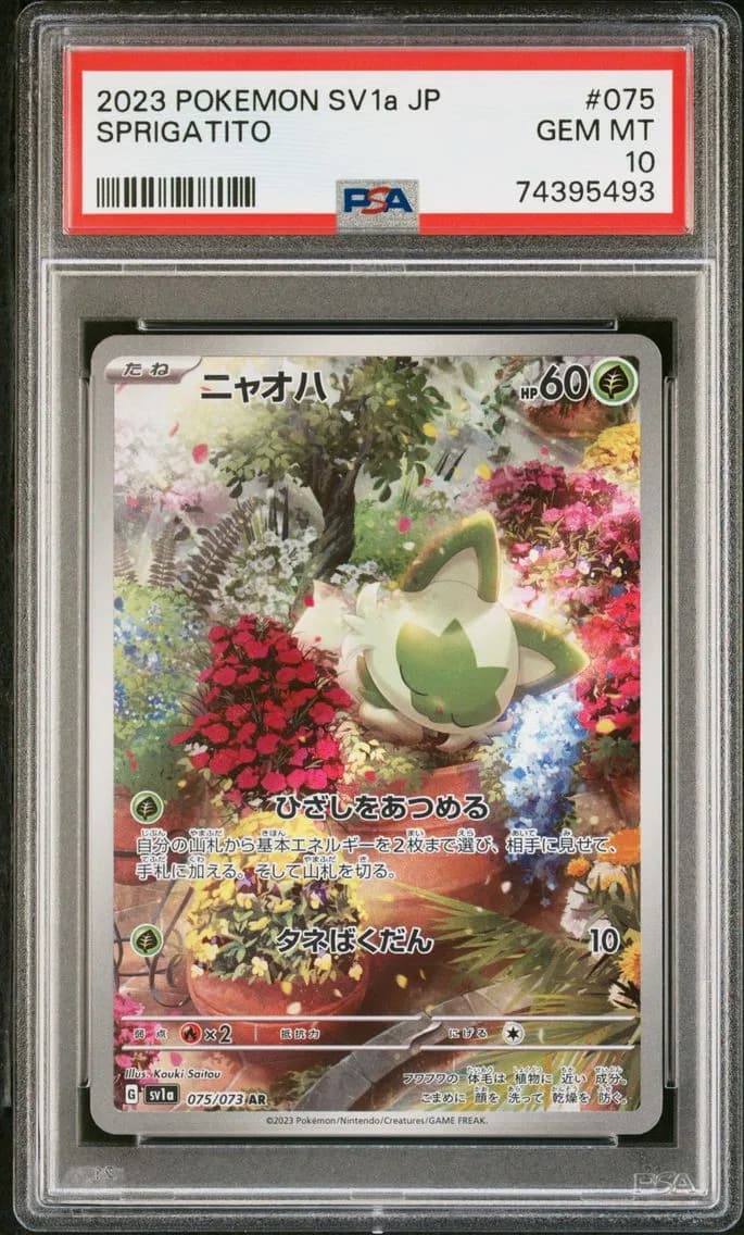 Sprigatito, Japanese Sv1a-Triplet Beat, PSA 10