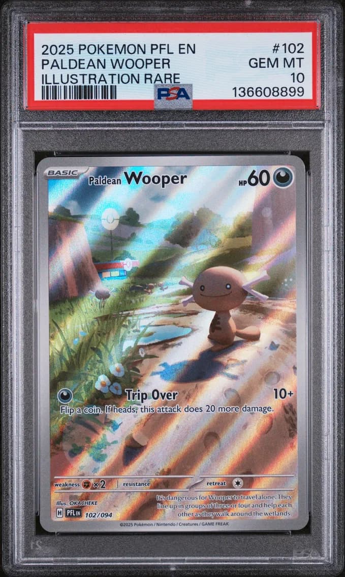 Paldean Wooper, Phantasmal Flames, PSA 10