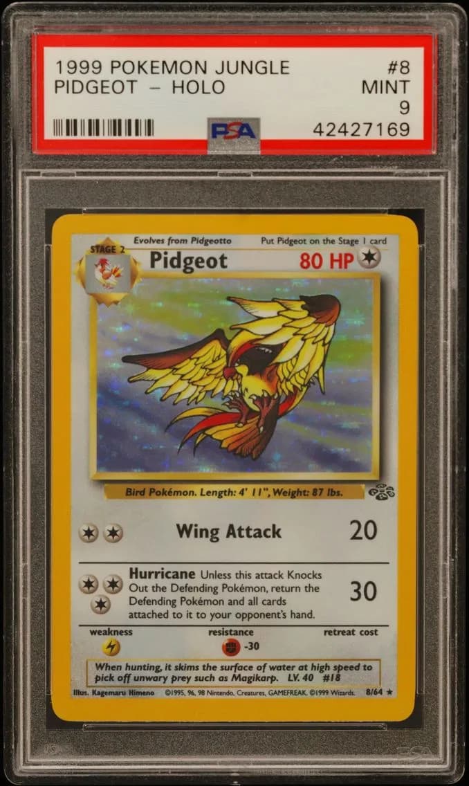 Pidgeot-Holo, Jungle, PSA 9