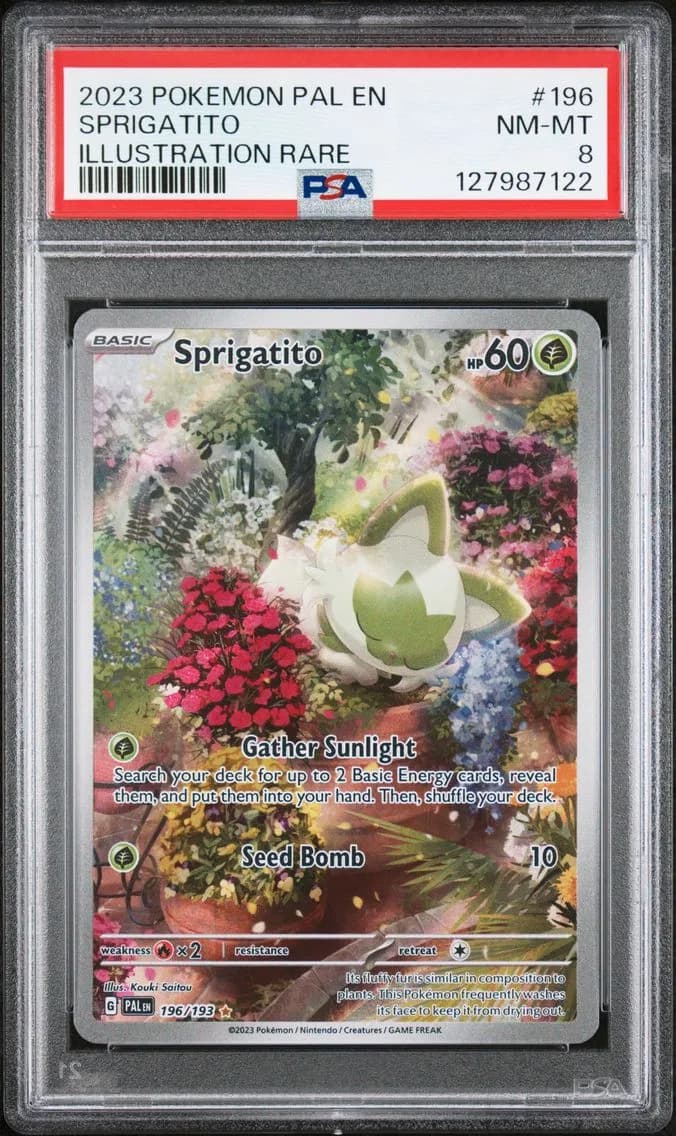 Sprigatito, Paldea Evolved, PSA 8