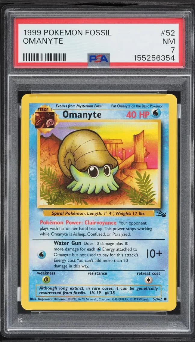 Fossil Omanyte NRMT, Fossil, PSA 7