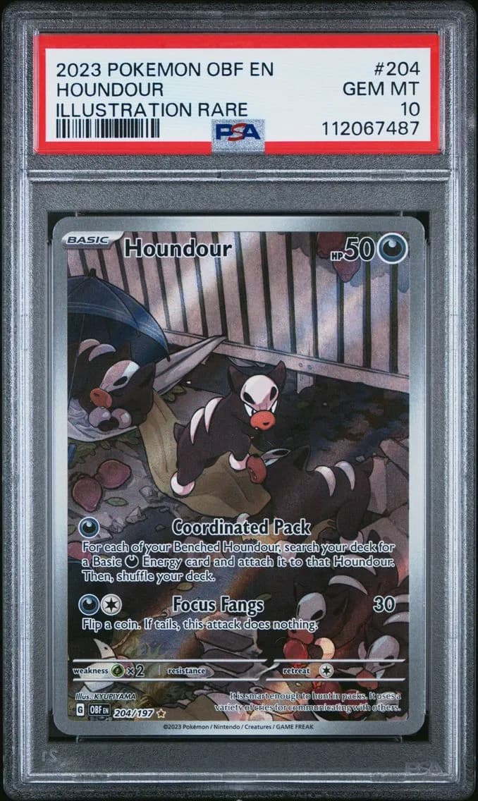 Houndour, Obsidian Flames, PSA 10