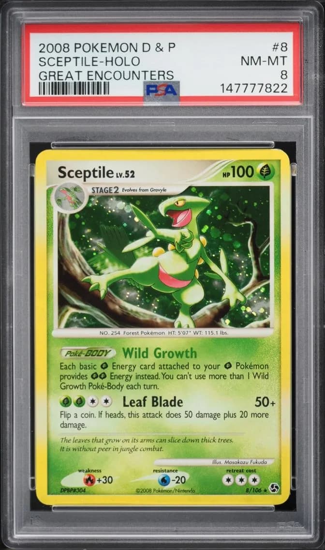 Sceptile-Holo, Diamond & Pearl Great Encounters, PSA 8