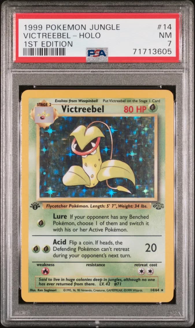 Victreebel-Holo 1st Edition, Jungle, PSA 7