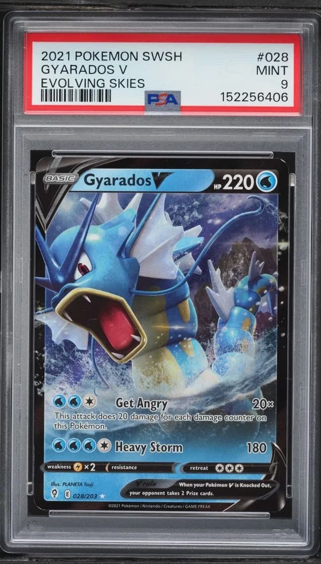 Gyarados V, Sword & Shield Evolving Skies, PSA 9