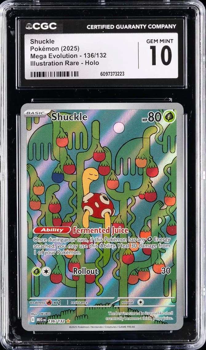 Shuckle, Mega Evolution, CGC 10