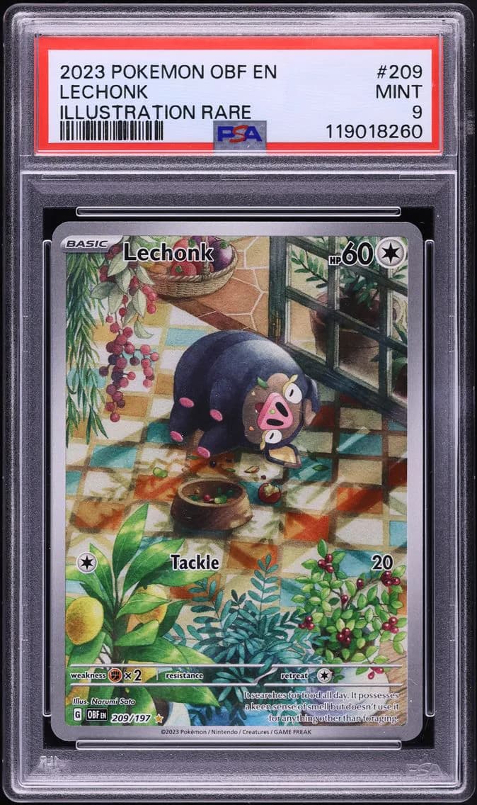 Lechonk, Obsidian Flames, PSA 9