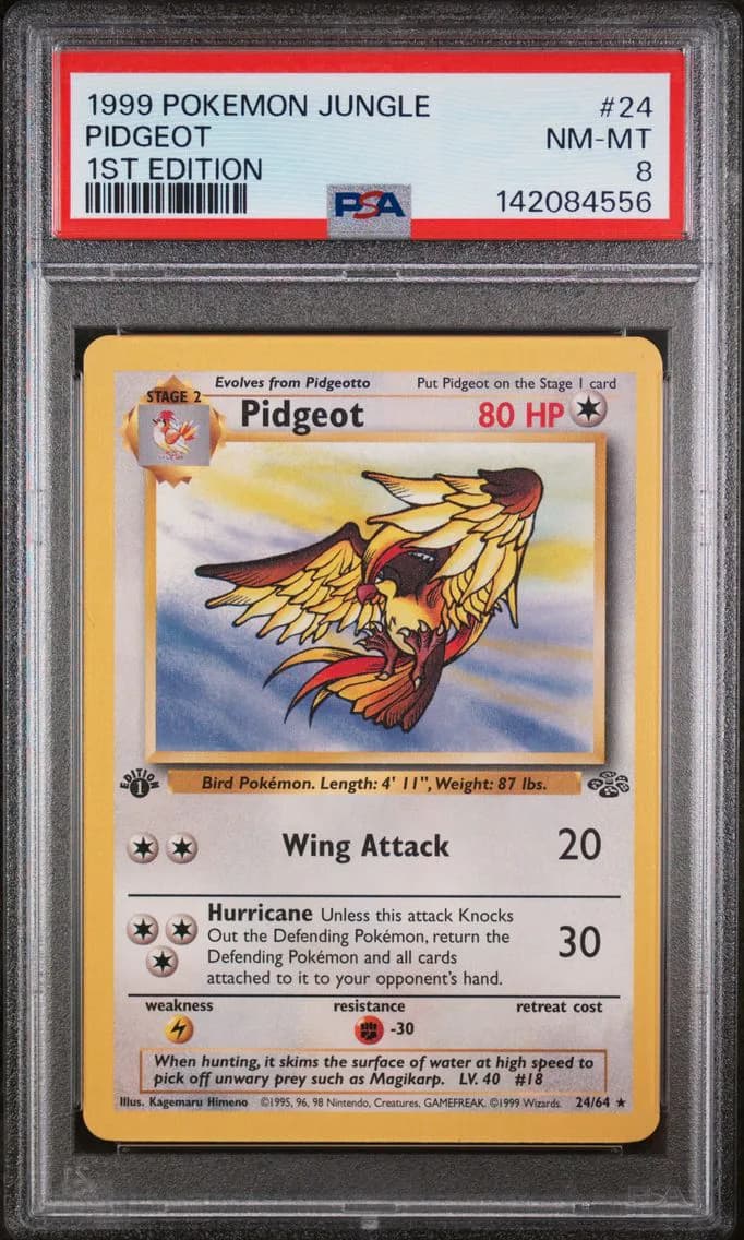 Pidgeot 1st Edition, Jungle, PSA 8