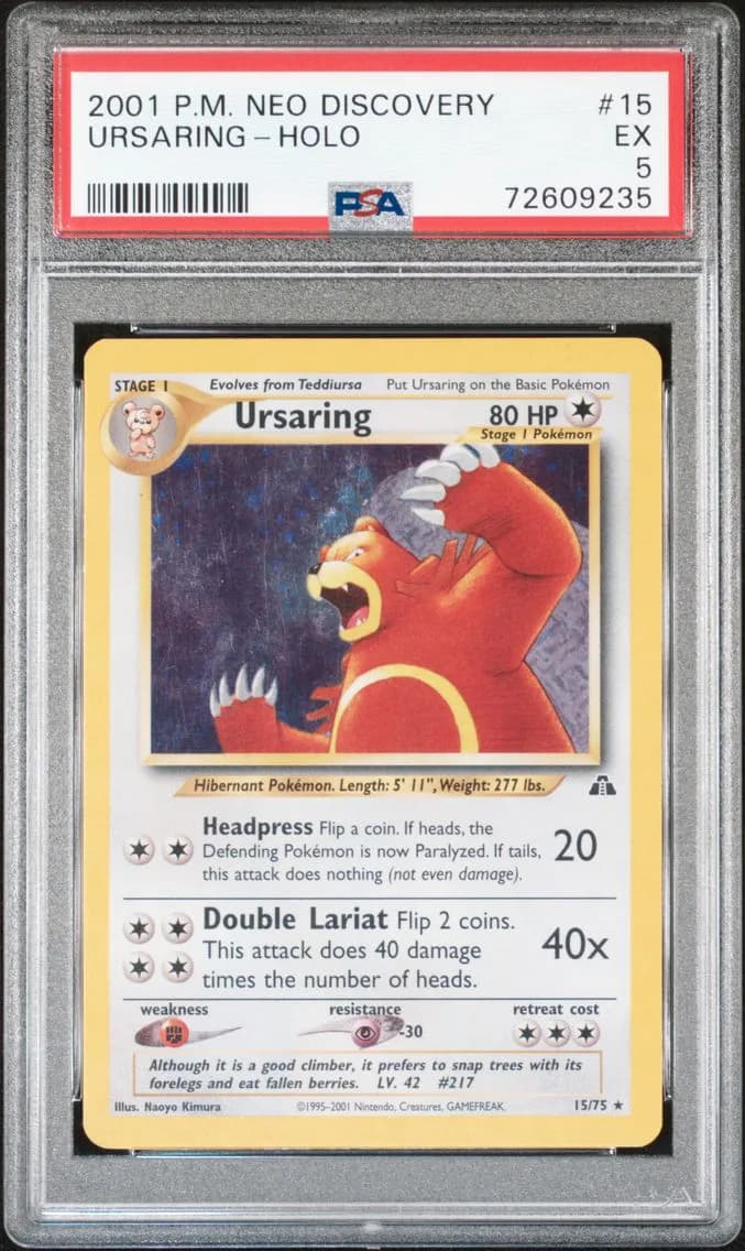 Ursaring-Holo, Neo Discovery, PSA 5