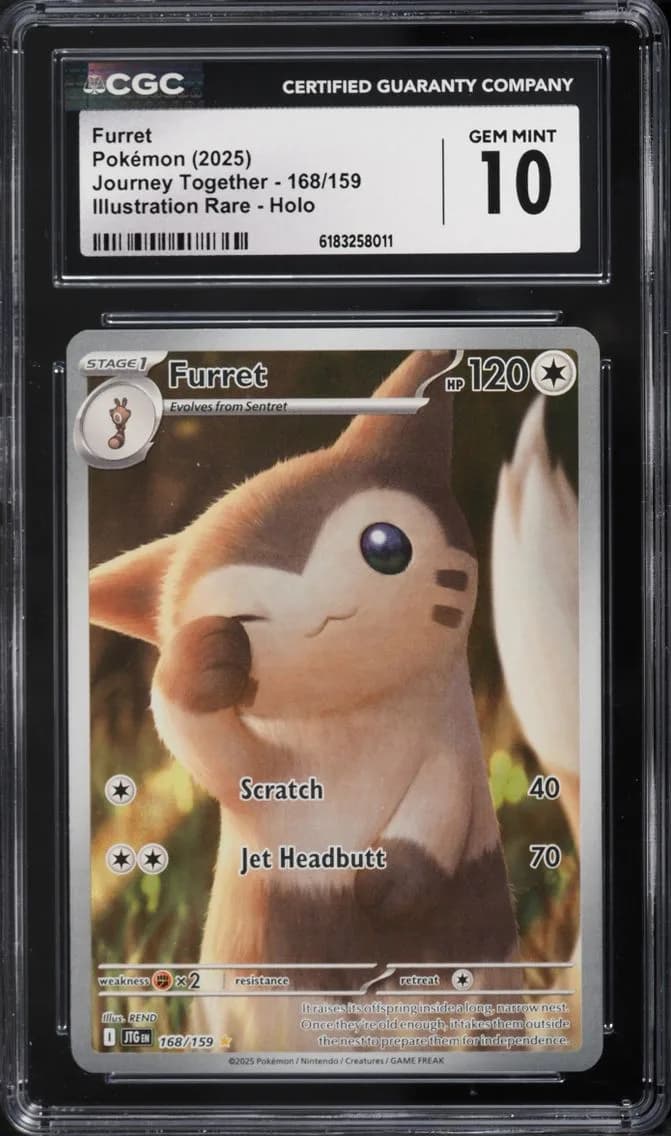 Furret, Journey Together, CGC 10