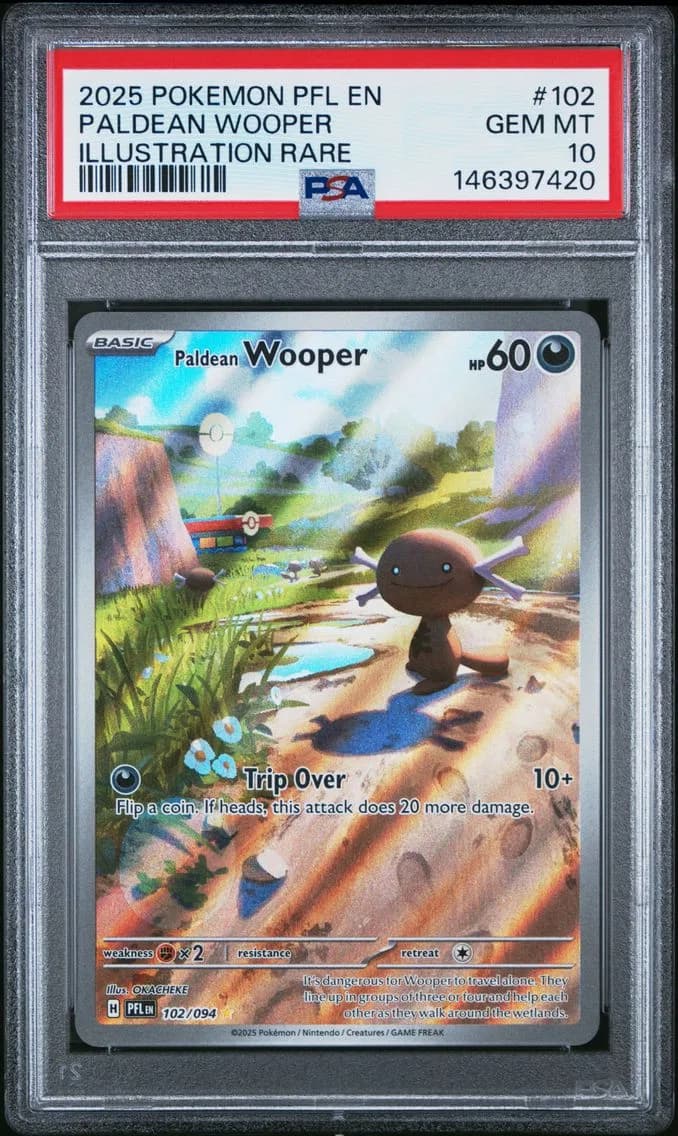 Paldean Wooper, Phantasmal Flames, PSA 10