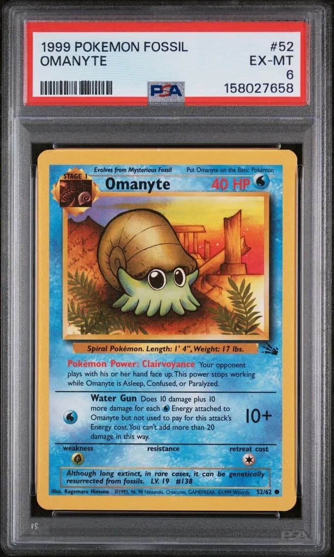 Omanyte, Fossil, PSA 6