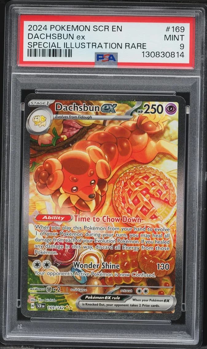 Dachsbun EX, Stellar Crown, PSA 9