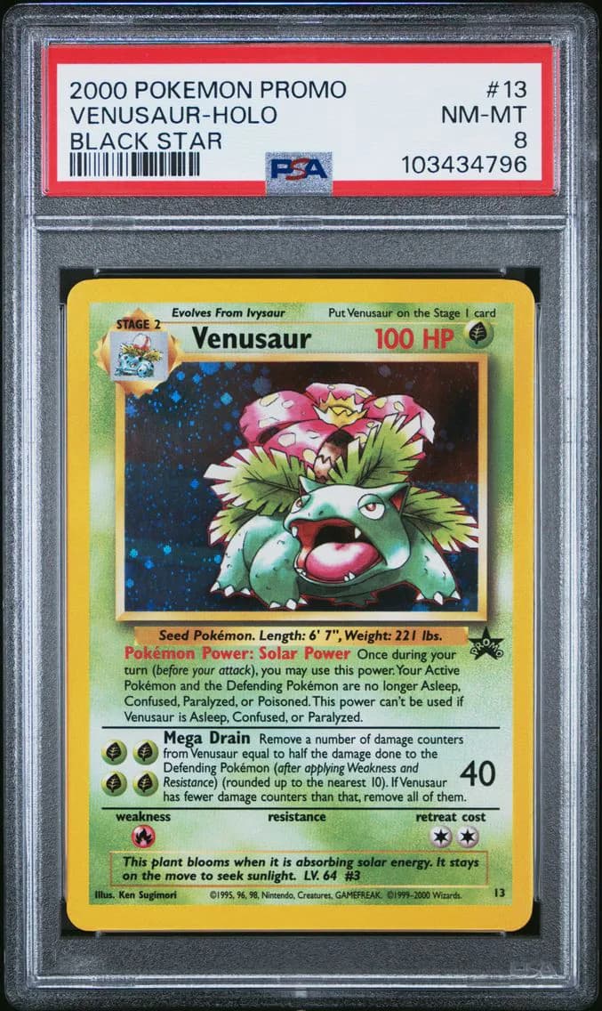 Venusaur-Holo, Promo Black Star, PSA 8