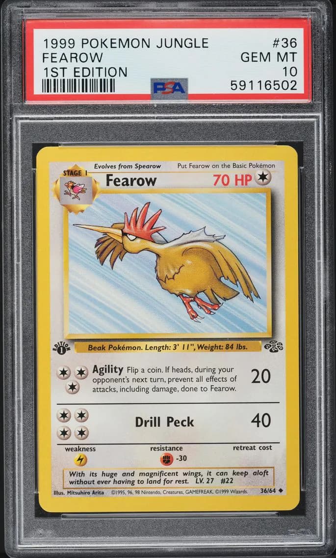 Jungle 1st Edition Fearow, Jungle, PSA 10