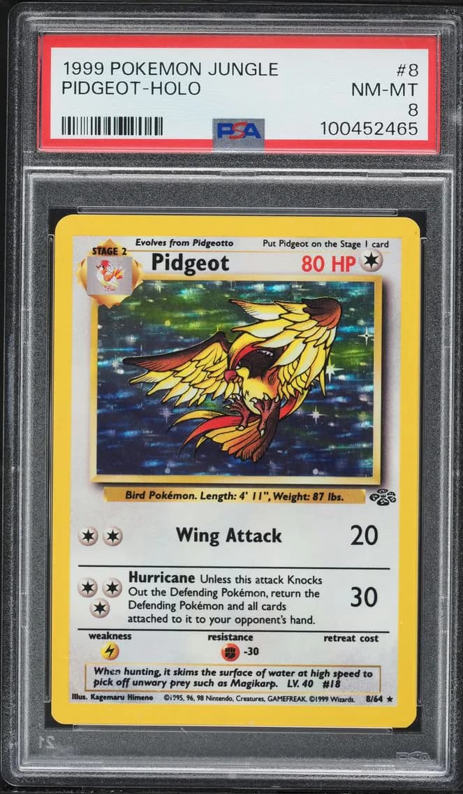 Pidgeot-Holo, Jungle, PSA 8