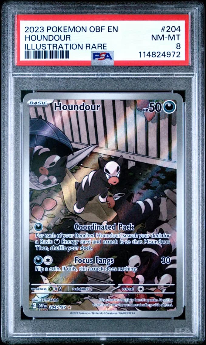 Houndour, Obsidian Flames, PSA 8