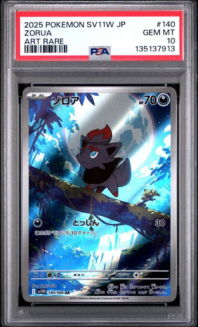 Zorua, Japanese Sv11w-White Flare, PSA 10