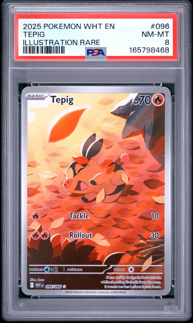 Tepig, White Flare, PSA 8