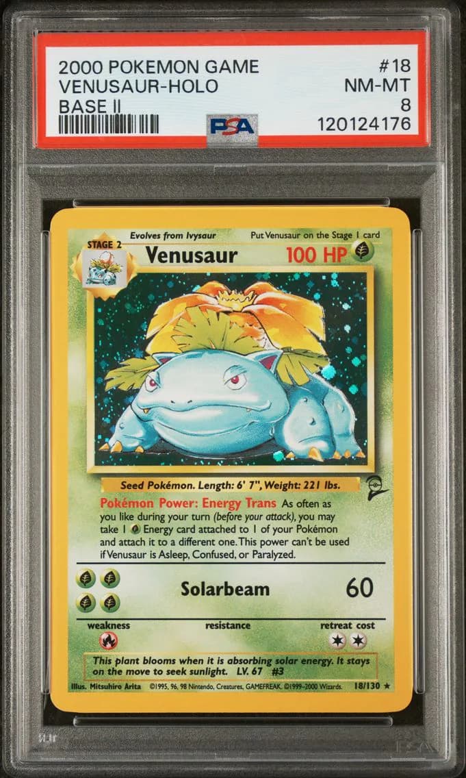 Venusaur-Holo, Game Base II, PSA 8