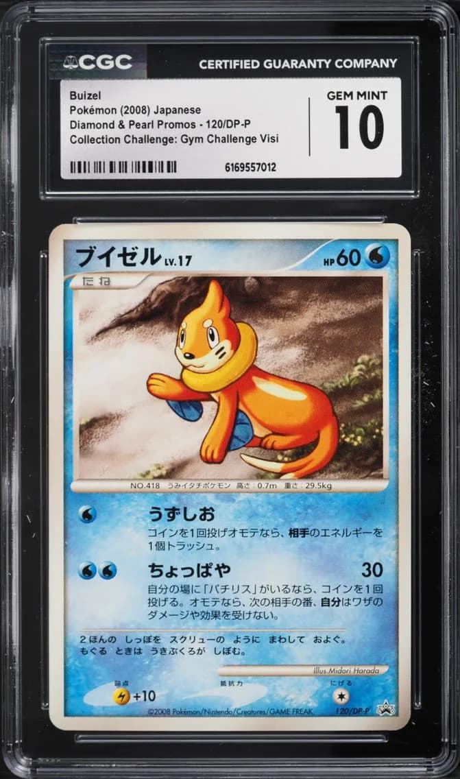 Buizel, Diamond & Pearl Promos - Japanese, CGC 10
