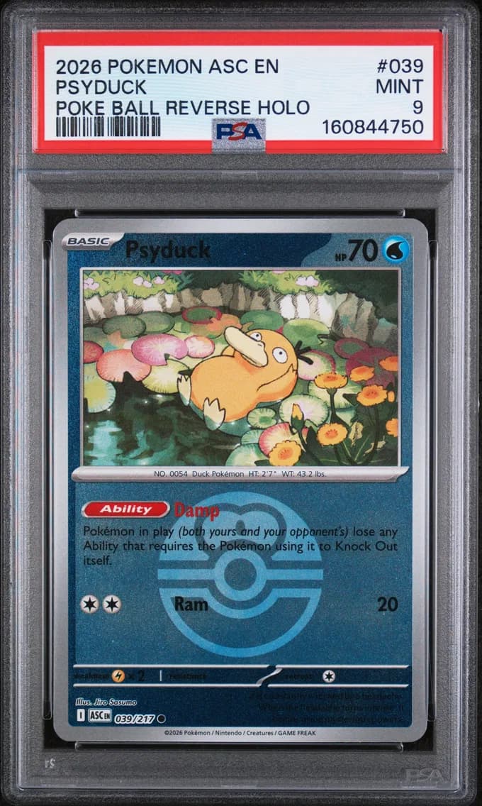 Psyduck, Ascended Heroes, PSA 9