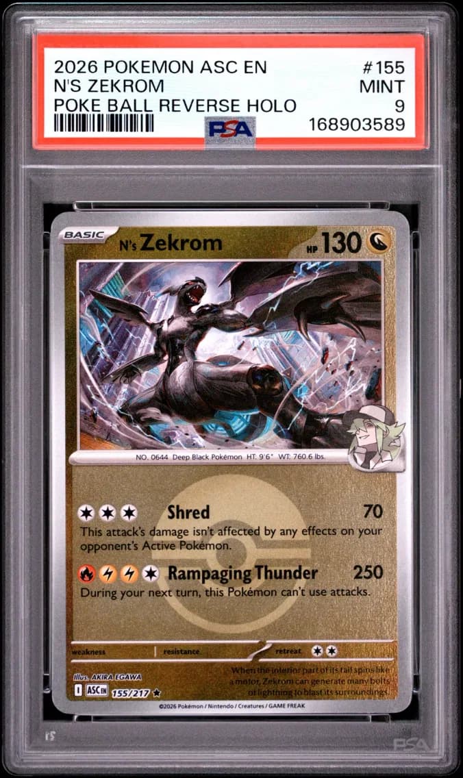 N's Zekrom, Ascended Heroes, PSA 9