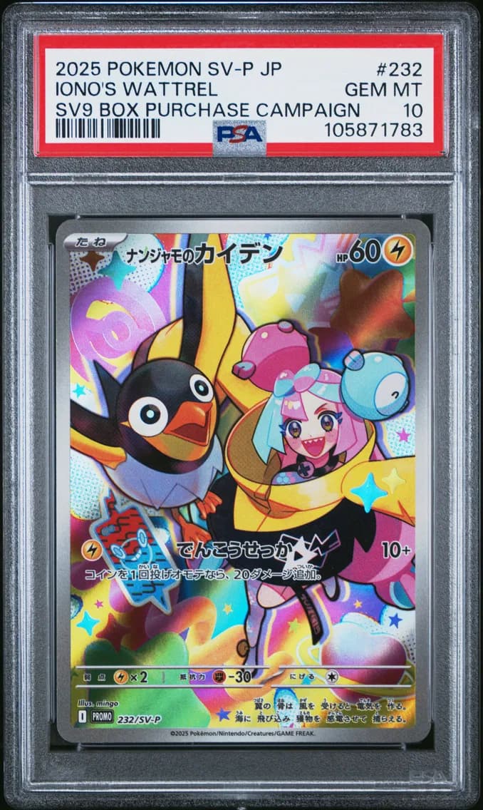 Iono's Wattrel, Japanese SV-P Promo, PSA 10